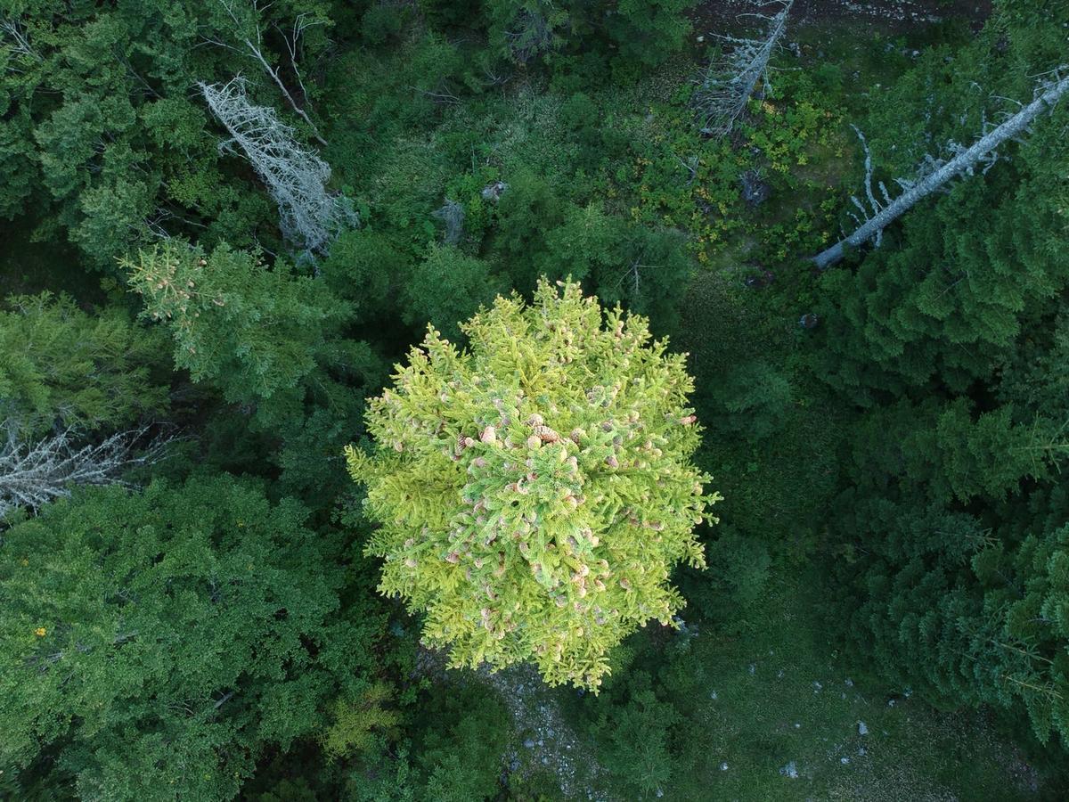 Holiday Home Lisica Žabljak Екстериор снимка
